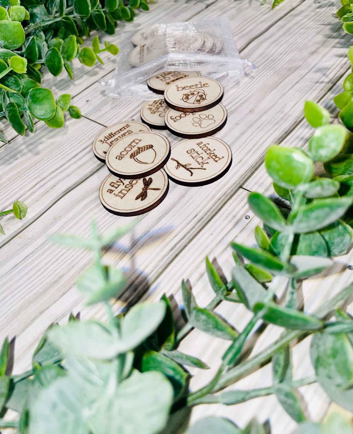 Outdoor Scavenger Hunt Tokens
